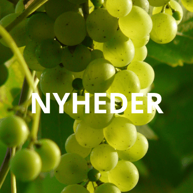 NYHEDER