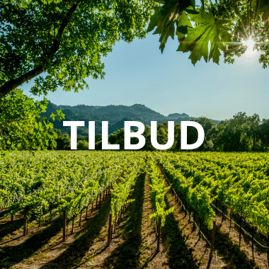 TILBUD